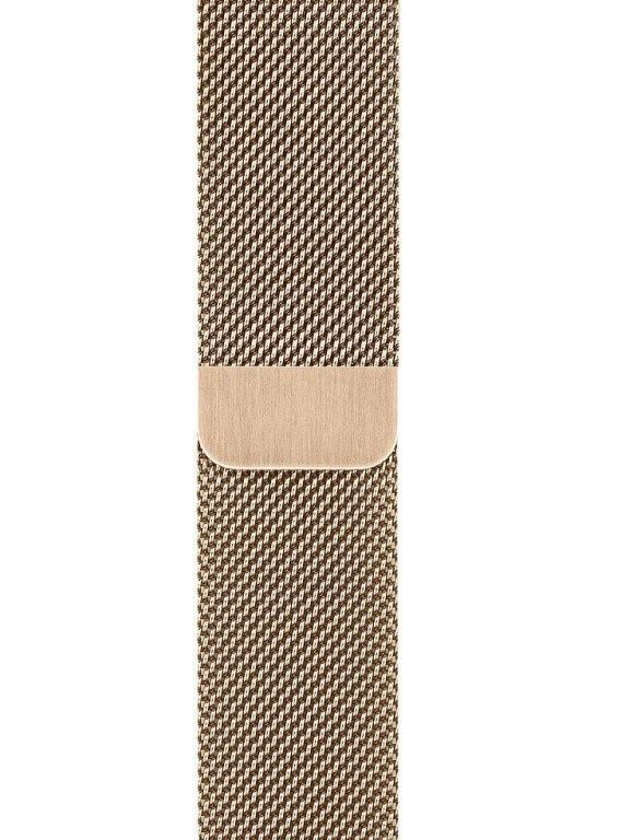 Смарт-часы Apple Watch Series 6 GPS + Cellular 40mm Gold with Gold Milanese Loop (M06W3)