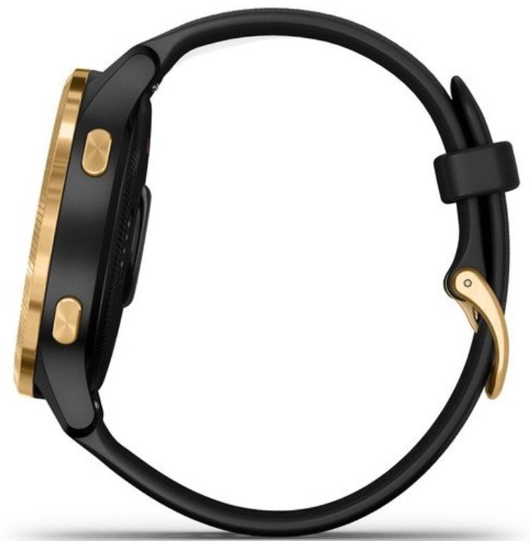 Смарт-часы Garmin Venu Black/Gold (010-02173-34)